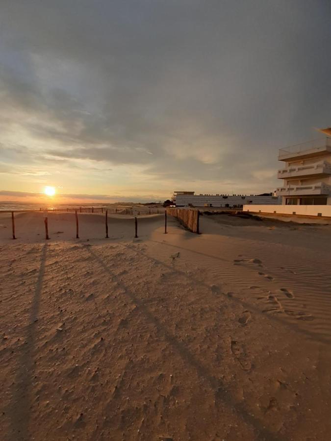 Ferienwohnung T2-3 Cabine Les Yuccas 200 M Plage Du Boucanet Rive Droite Grau Du Roi Ideal 2-4 Pers Le Grau-du-Roi Exterior foto